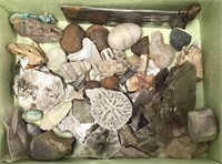 Geological Specimens Collection