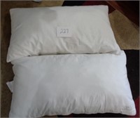 Standard Pillows