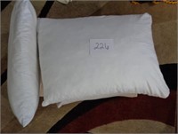 Set of Standard Pillows