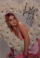 Autograph COA Lana Del Rey Photo