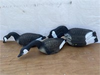 Goose Decoys