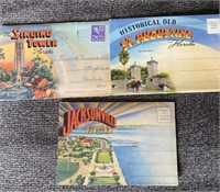 E2) Vintage souvenir postcard folders Florida