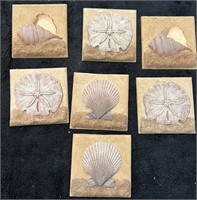 Small Shell Art Prints Quantity of 7