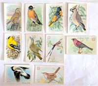 10 1920s-30s Church & Dwight Birds Litho Cards