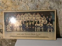2000-2001 Toronto Maple Leafs Pic - 22 x 12