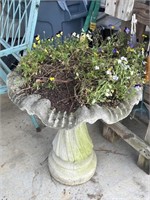 Concrete Bird Bath Flower Pot