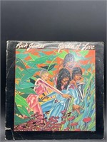 RICK JAMES - "Garden of Love" (1980 Vinyl