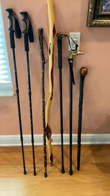 7 misc walking sticks/cane