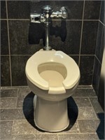 Zurn Automatic Toilet