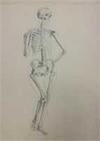 Julia Crawford -  Anatomy Study