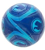 Size 4 ProCat by Puma Cyclone Sports Ball - Blue