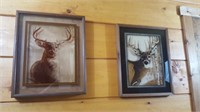 2 Framed Deer Pictures