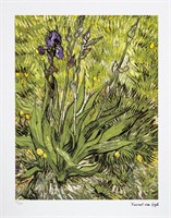 Vincent van Gogh 'Iris'