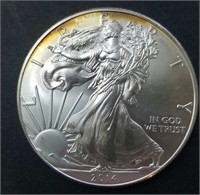 2014 1oz Silver Walking Liberty Coin