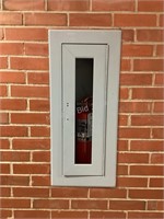 Sentry Fire extinguisher and Metal Box