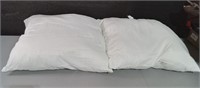 2pk 26x26 Pillows