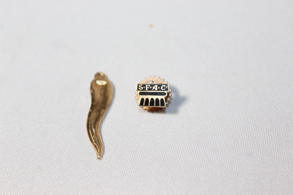 14kt Gold Italian Horn and SPAC Pin