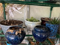 Shelf of Ceramic Plant Pots
