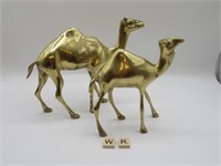 BRASS CAMELS