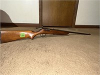 Steven’s Savage Arms Model 15A .22 Short/Long or