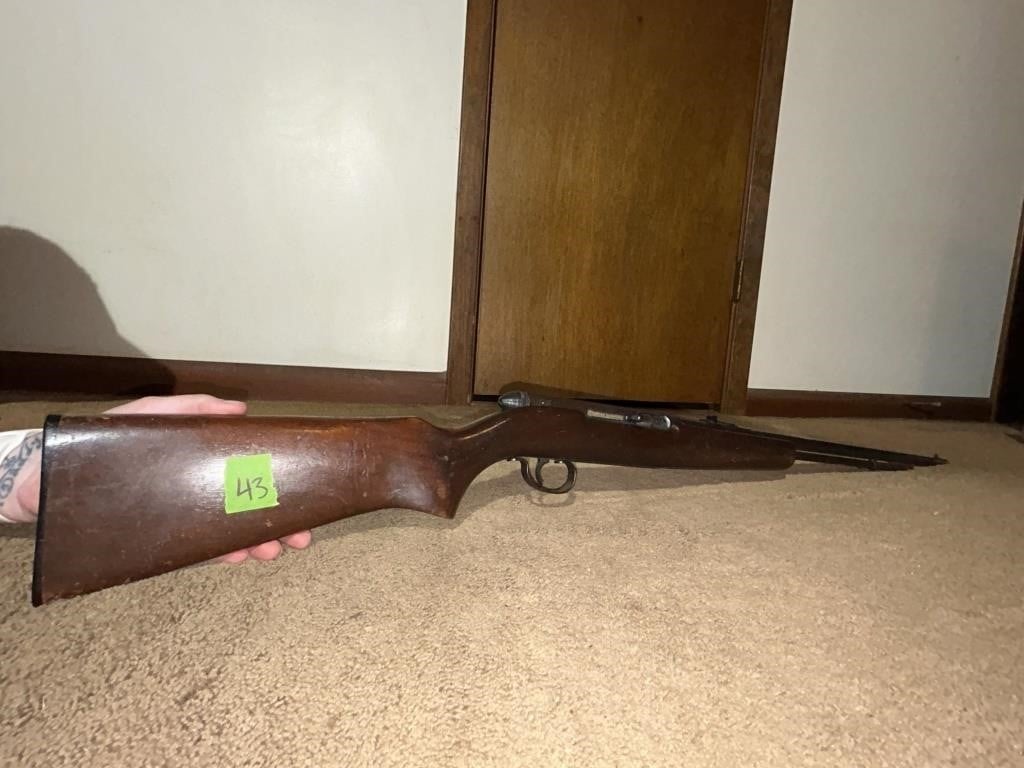 Remington .22 Short/Long or Long Rifle Model 5501