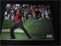 Tiger Woods Signed 8x10 Photo Direct COA