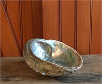 Large 8 1/2” Albone Shell Bowl