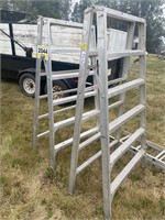 6' x 3' Scaffold Ladders - Pair