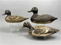 3 Bluebill Drake Duck Decoys