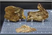 Petrified Wood Slabs, 9oz