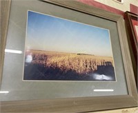 FRAMED PHOTO