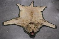 Vintage African Lion Taxidermy Rug
