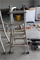 Werner Ladder