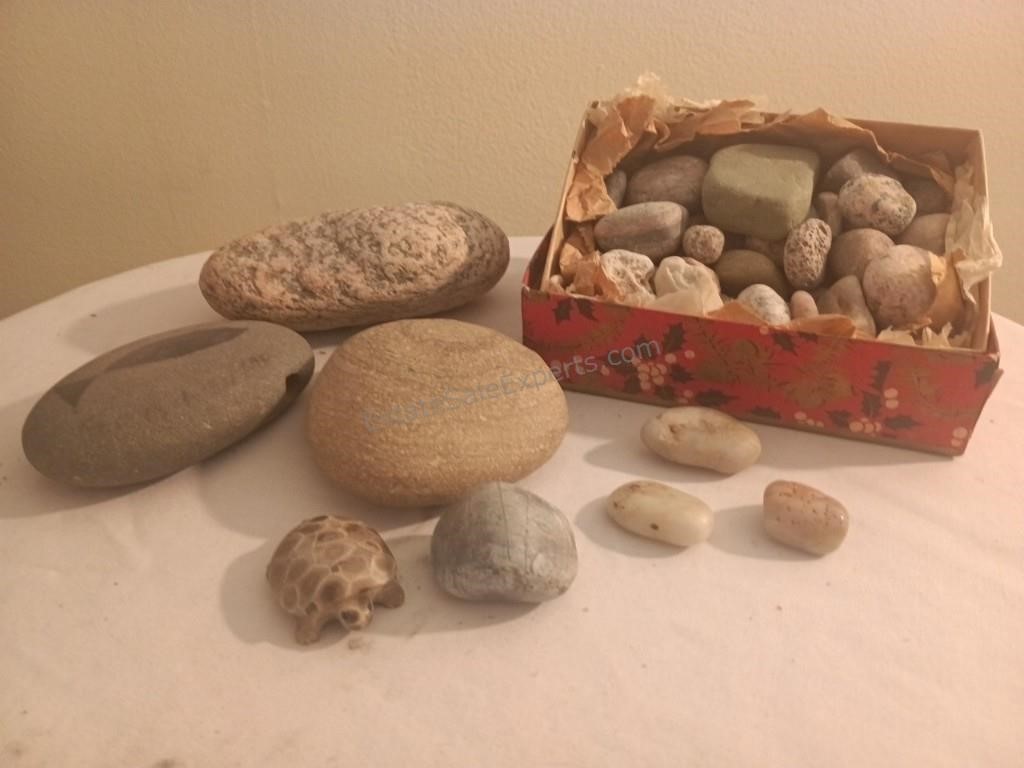 Petoskey Stone Turtle and Assorted Rocks