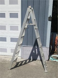 HD Aluminum 7' Step/ 12' Extension Ladder