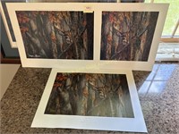 Whitetails Unlimited Hayden Lambson Signed Prints