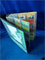 Binder of over 250 pokemon cards. Includes Holo,