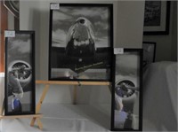 3 framed airplane prints