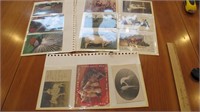 23 Postcards - Animal theme