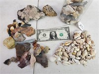 Various Minerals, Rocks & Sea Shells