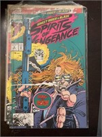 5 Spirit Of Vengeance comic books