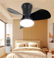 Black Ceiling Fan with Light 22inch  Low Profile