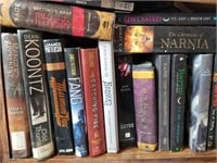 Large Collection Of Assorted Fiction Books