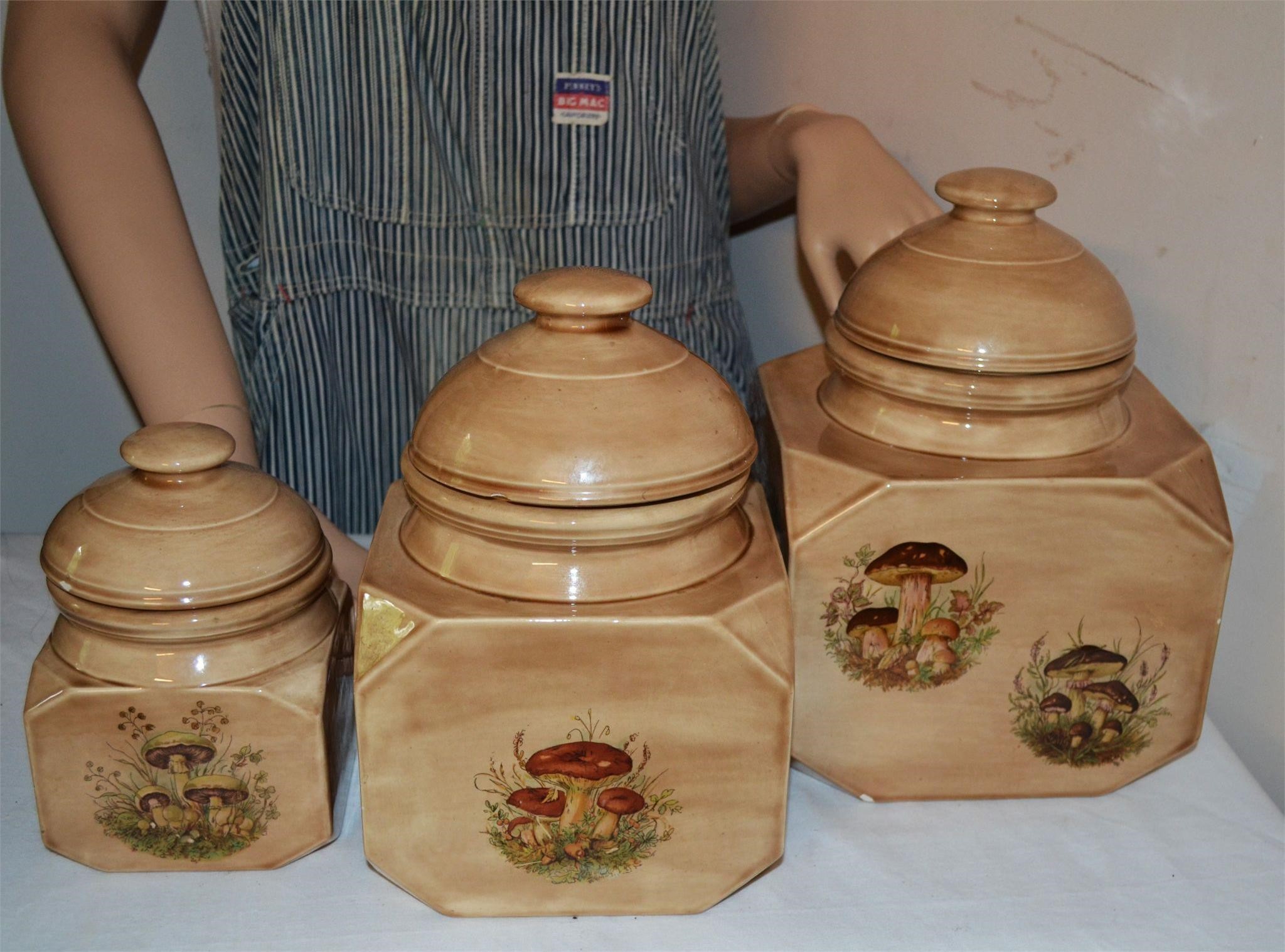 vtg Canister set ~ has chips ~ mushroom theme