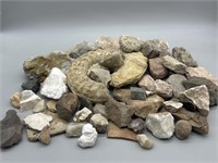 Selection of Stones and Fossils
