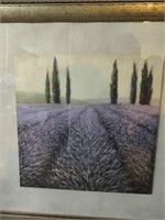 33x32 Framed Print - Purple Field