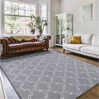 Fluffy Indoor Area Rug