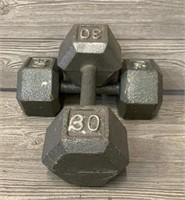(2) 30lb Iron Weights