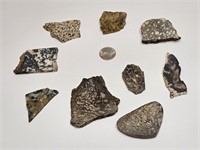 SPECKELED ROCK LOT VARIOUS
