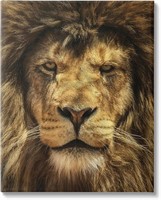 36"X48" Close Up Lion Portrait Canvas Wall Art